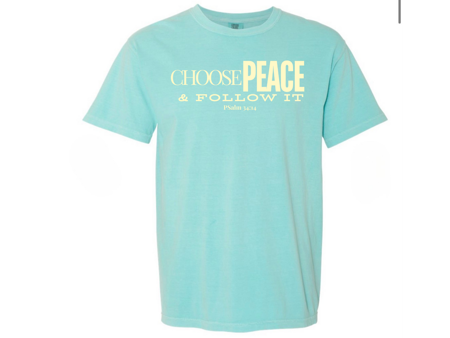 CHOOSE PEACE & FOLLOW IT/BUSCA LA PAZ Y SIGUELA